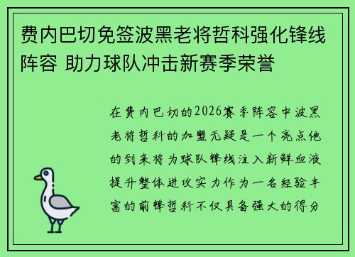 费内巴切免签波黑老将哲科强化锋线阵容 助力球队冲击新赛季荣誉
